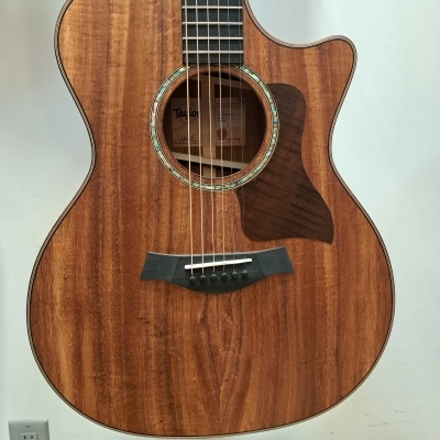 Taylor Guitars - 724CE 4